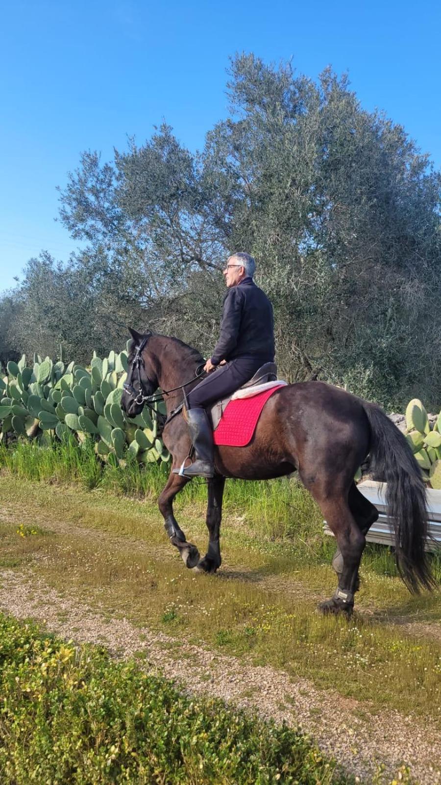 La Macchia Villa Botrugno Dış mekan fotoğraf