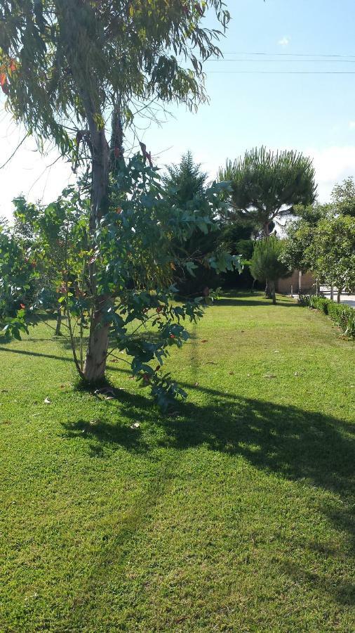 La Macchia Villa Botrugno Dış mekan fotoğraf